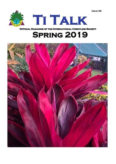 Ti Talk: Spring 2019